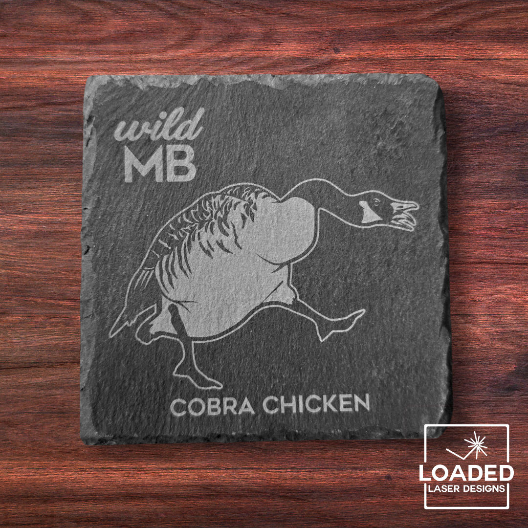 Wild MB Coasters - Natural Slate