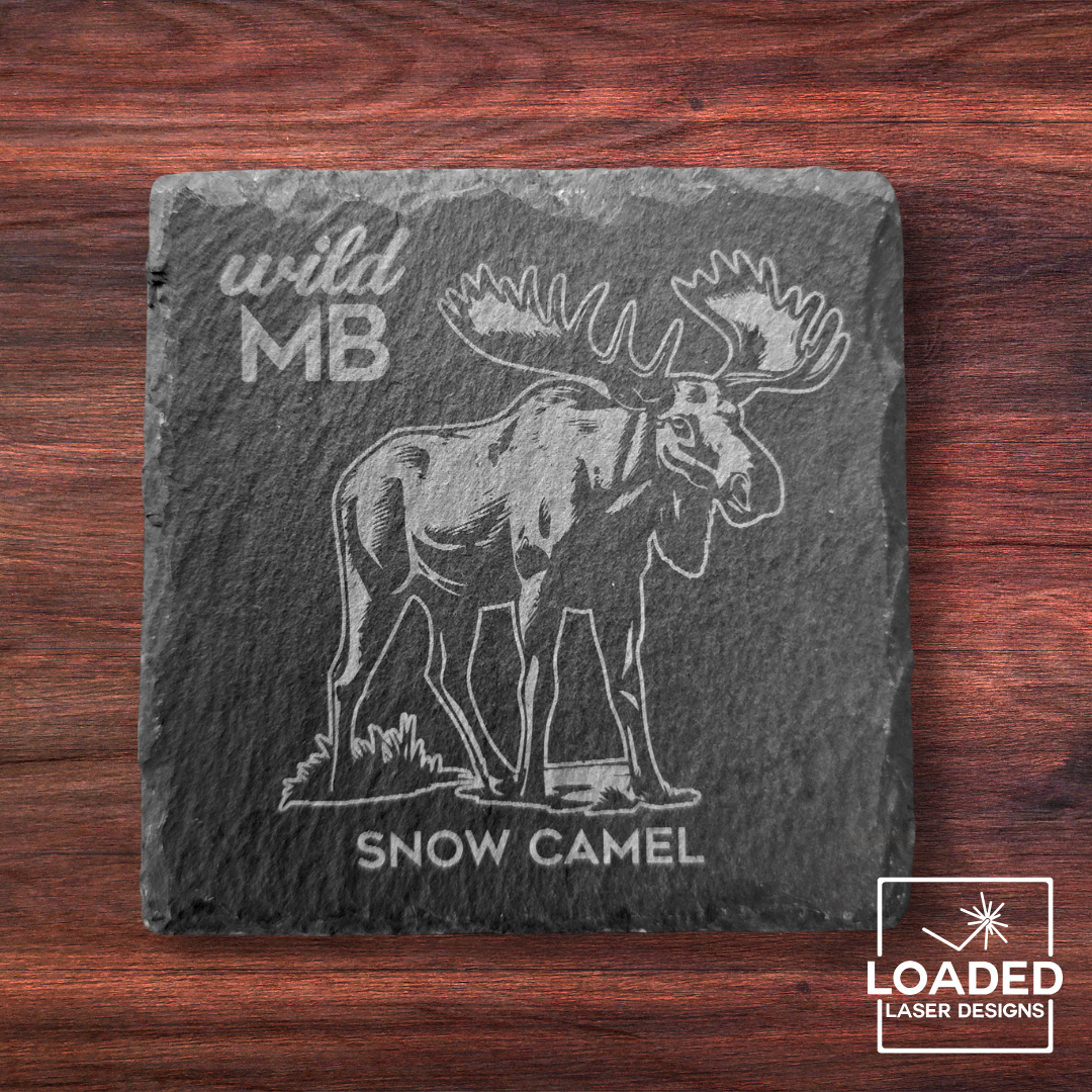 Wild MB Coasters - Natural Slate