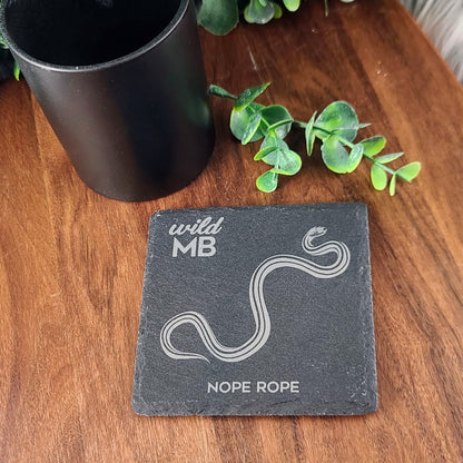 PAWS Wild MB Coasters - Natural Slate