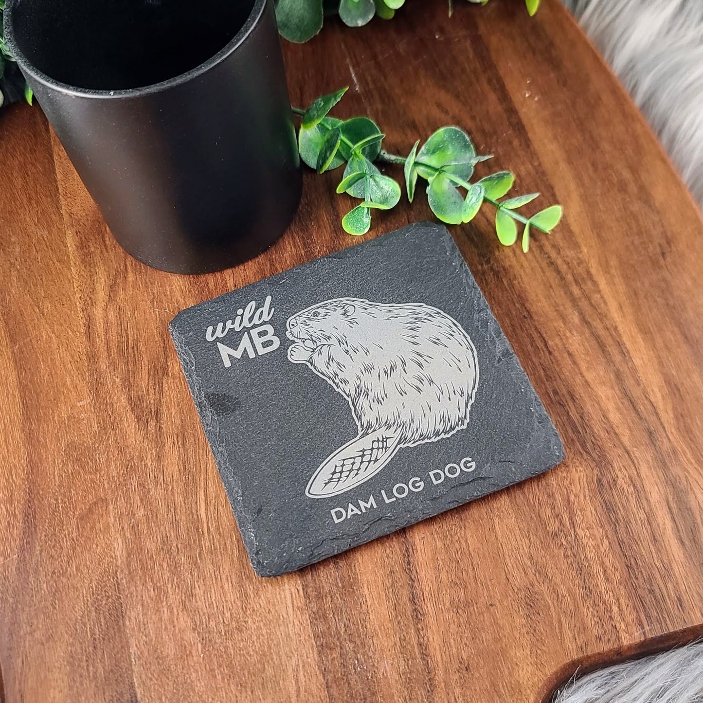 PAWS Wild MB Coasters - Natural Slate