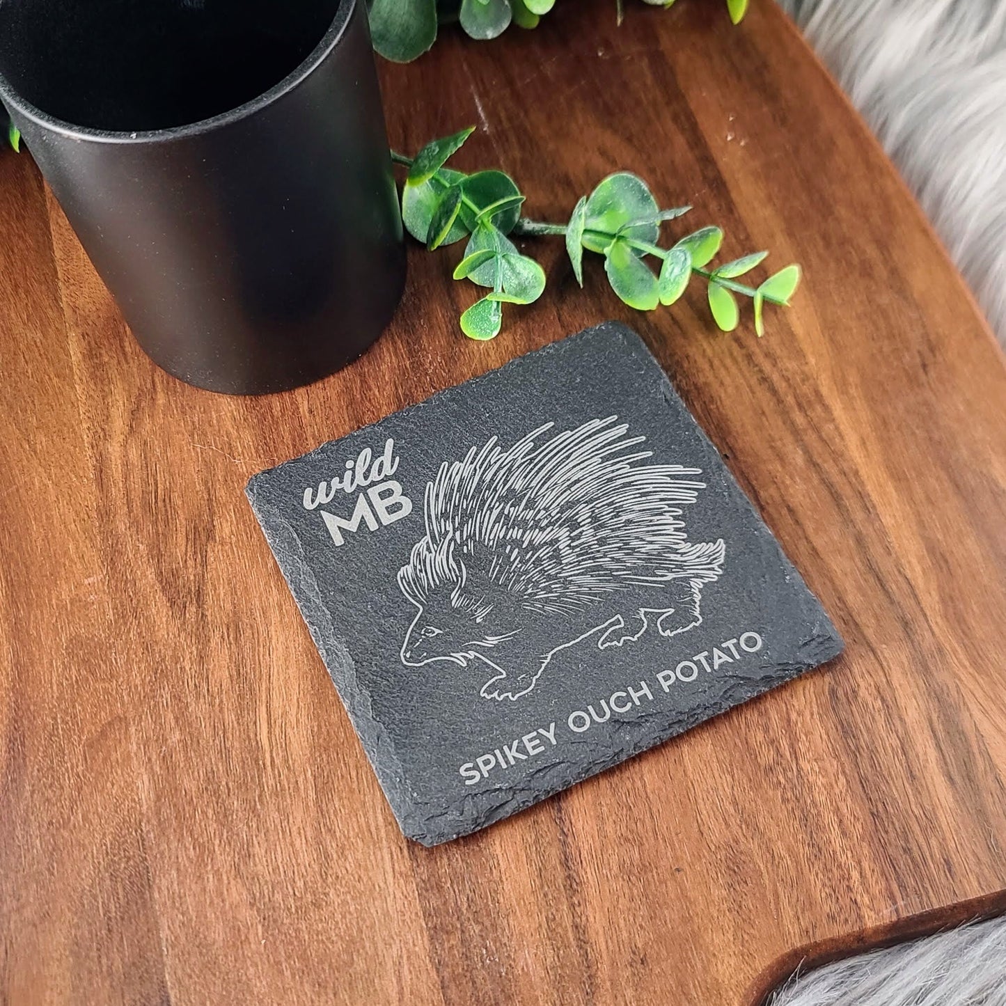 PAWS Wild MB Coasters - Natural Slate