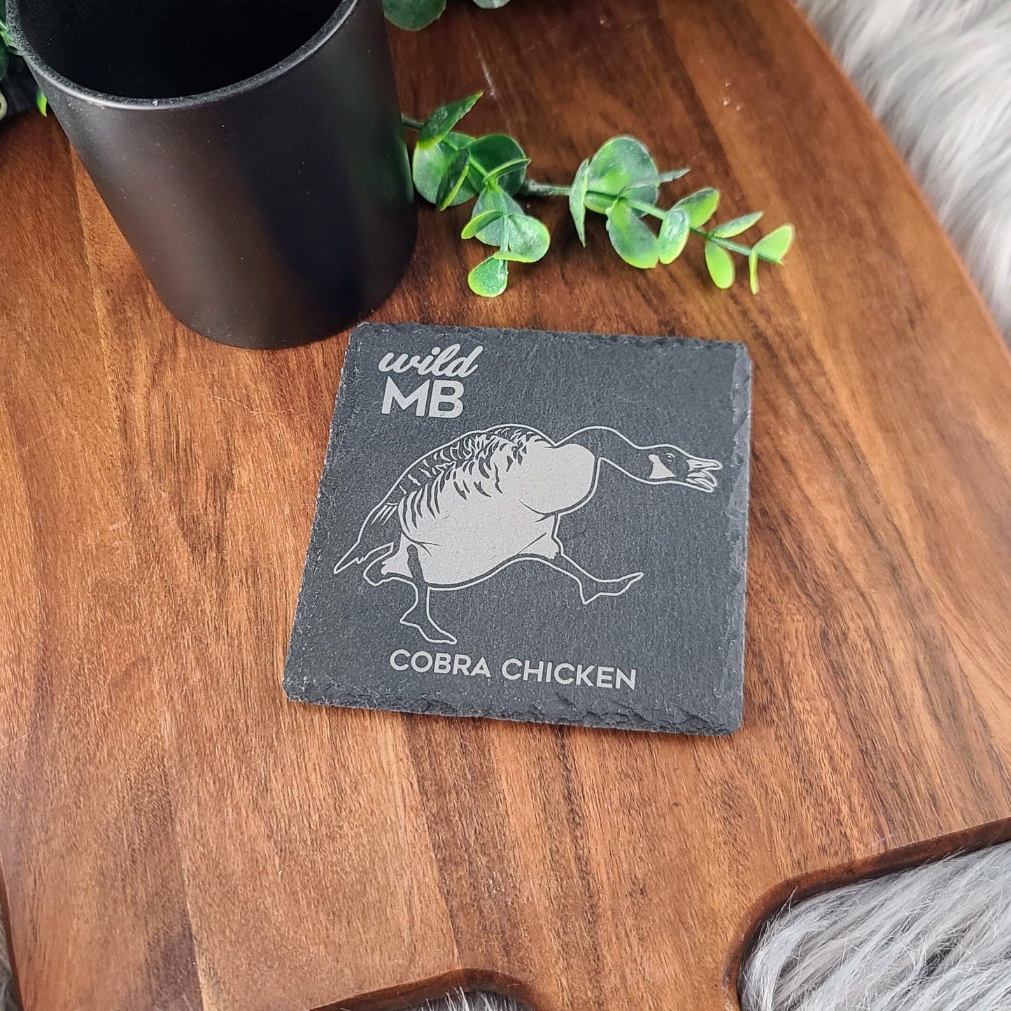 PAWS Wild MB Coasters - Natural Slate