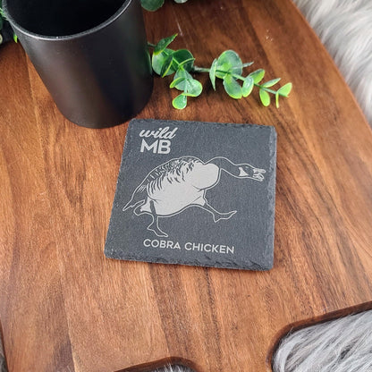 PAWS Wild MB Coasters - Natural Slate