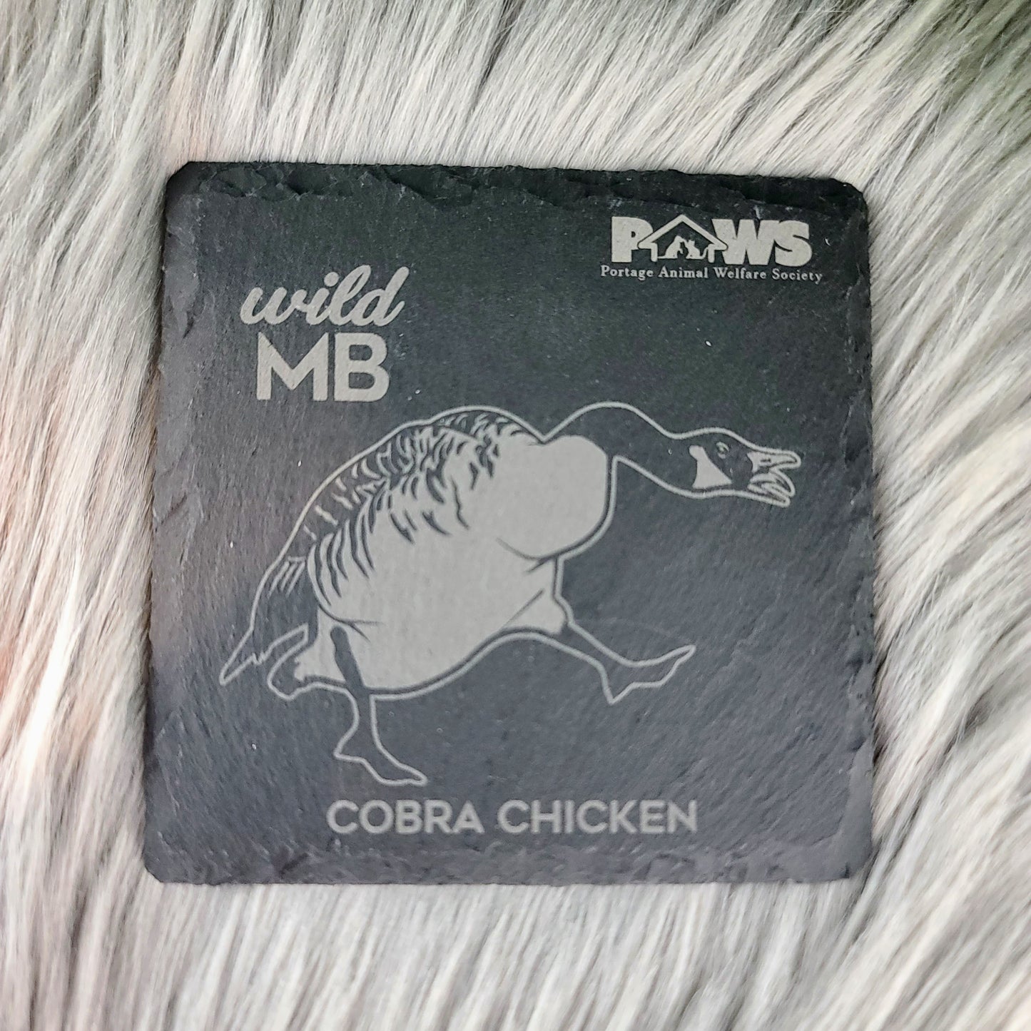 PAWS Wild MB Coasters - Natural Slate