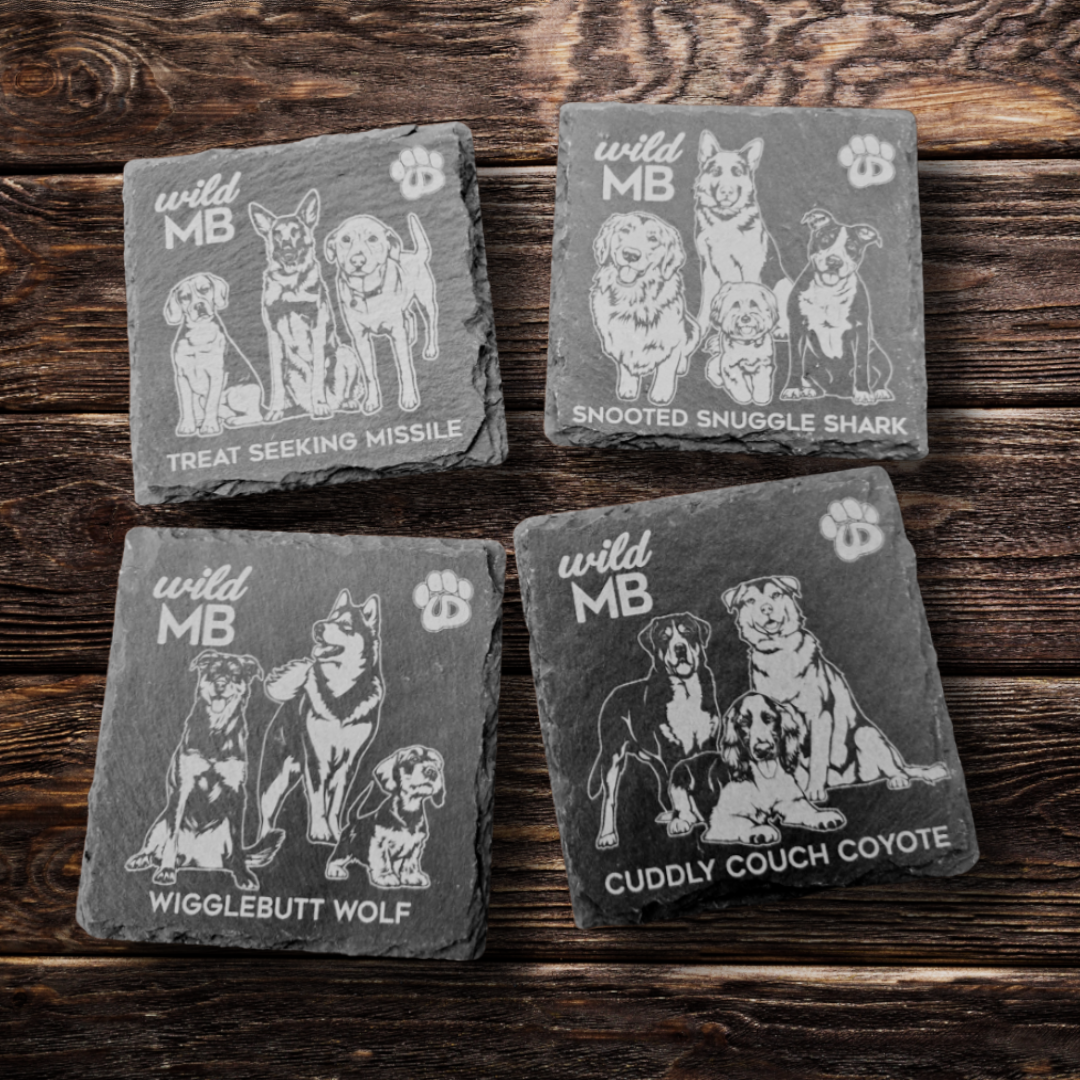 Wild MB x MB Underdogs Coasters - Natural Slate