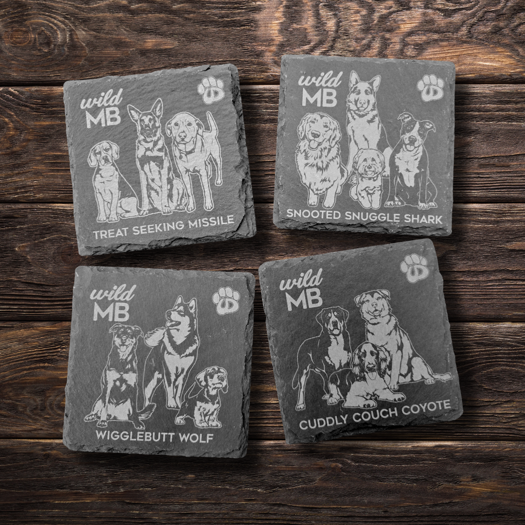 Wild MB x MB Underdogs Coasters - Natural Slate