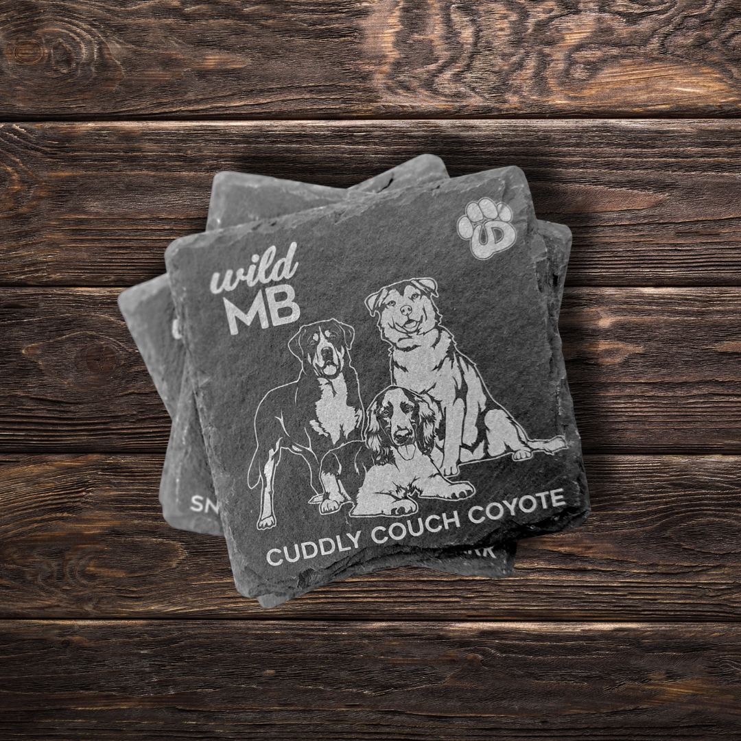 Wild MB x MB Underdogs Coasters - Natural Slate