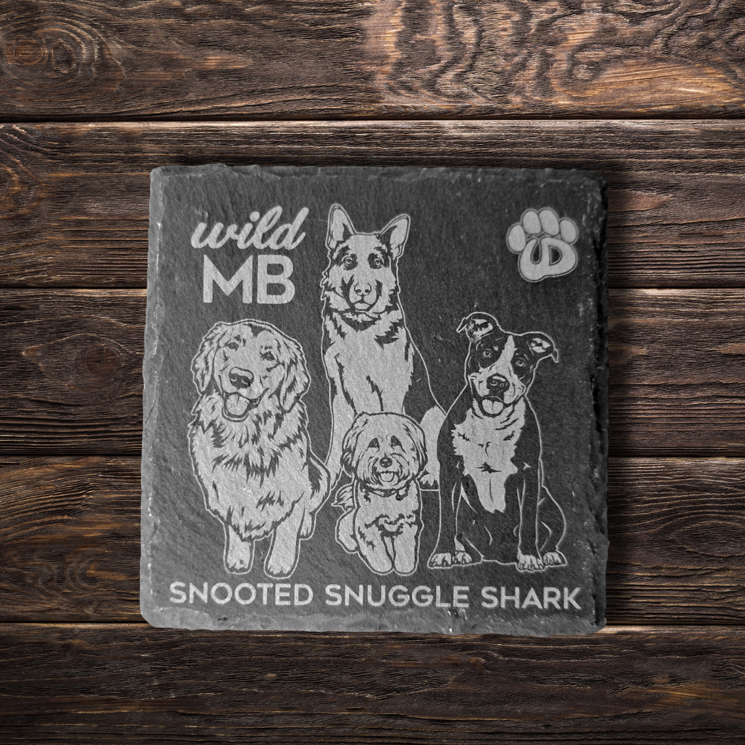 Wild MB x MB Underdogs Coasters - Natural Slate