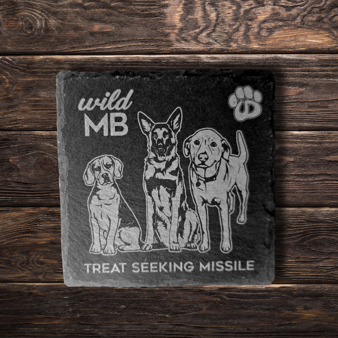 Wild MB x MB Underdogs Coasters - Natural Slate
