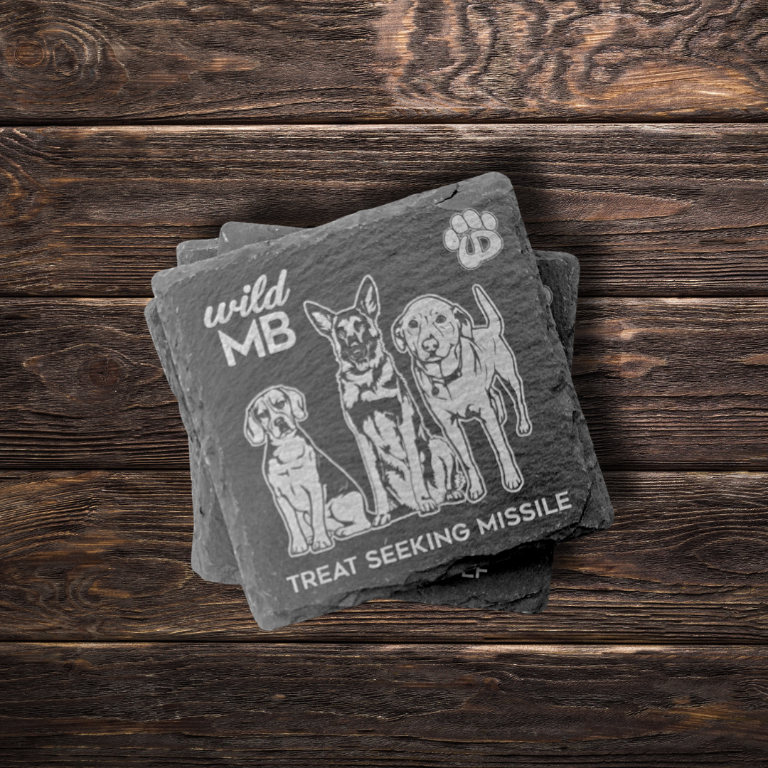 Wild MB x MB Underdogs Coasters - Natural Slate