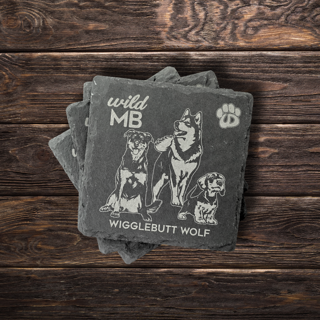 Wild MB x MB Underdogs Coasters - Natural Slate
