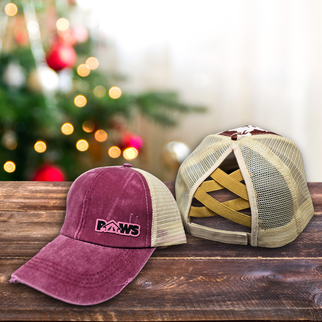 PAWS Distressed Ponytail Hat