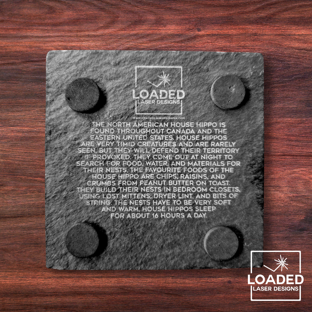 Wild MB Coasters - Natural Slate