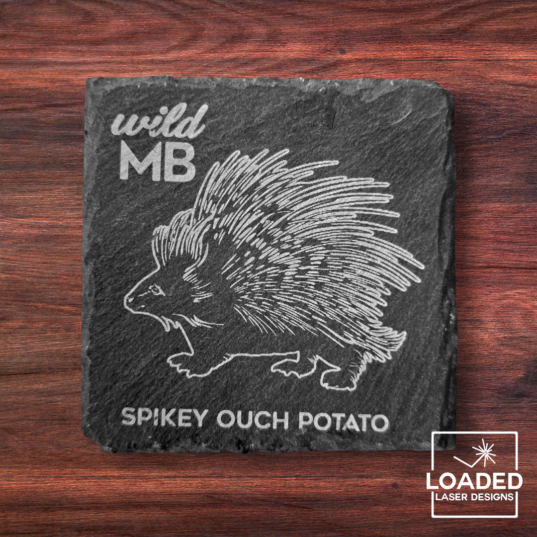 Wild MB Coasters - Natural Slate